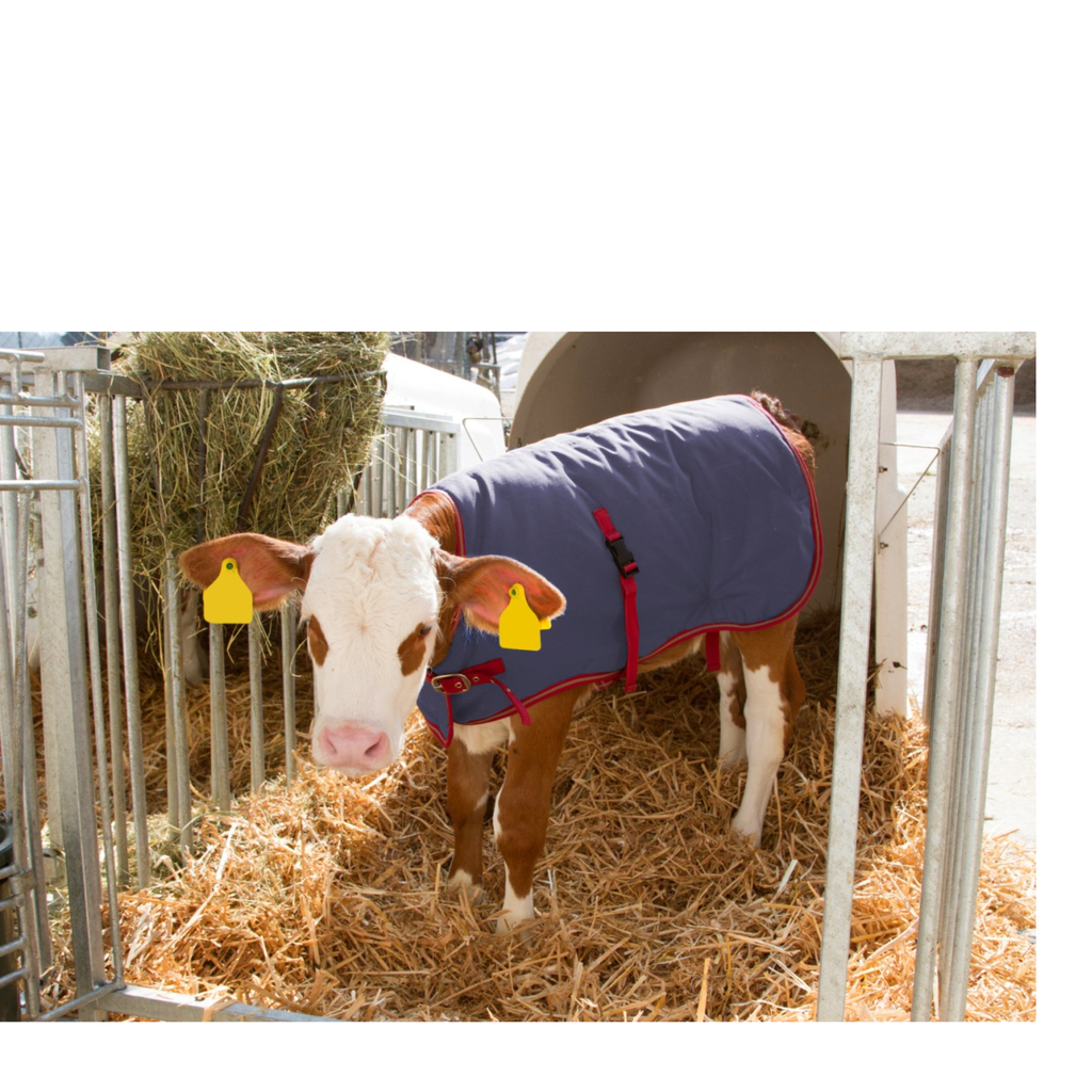 Manta para terneros Thermoplus