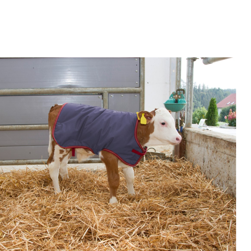 Manta para terneros Thermoplus