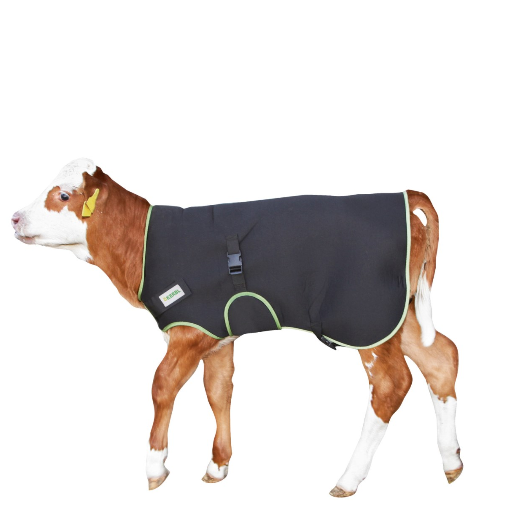 Manta para terneros premium