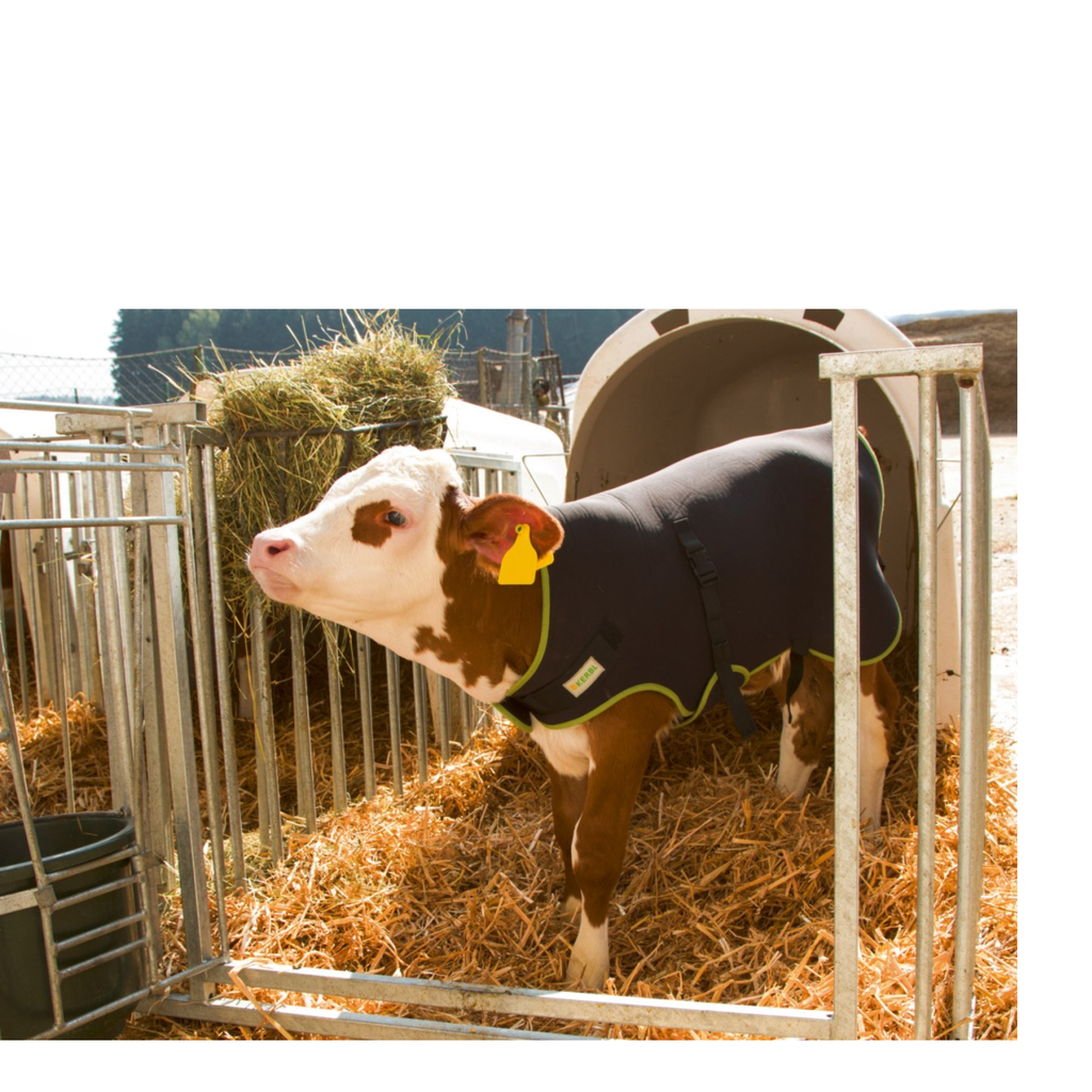 Manta para terneros premium