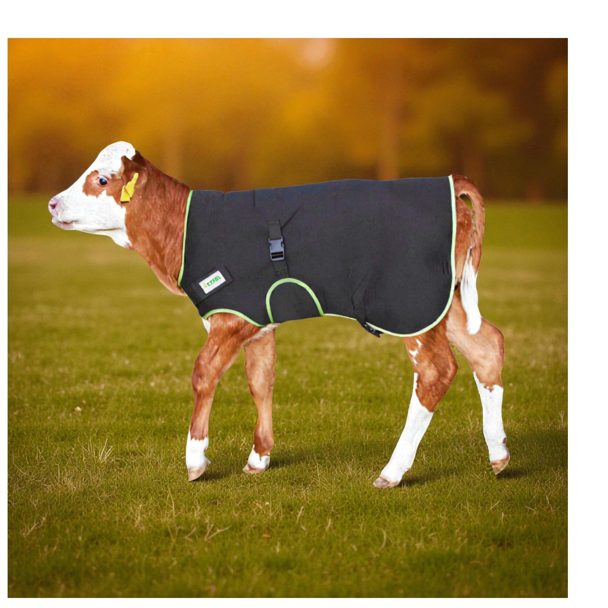 Manta para terneros premium