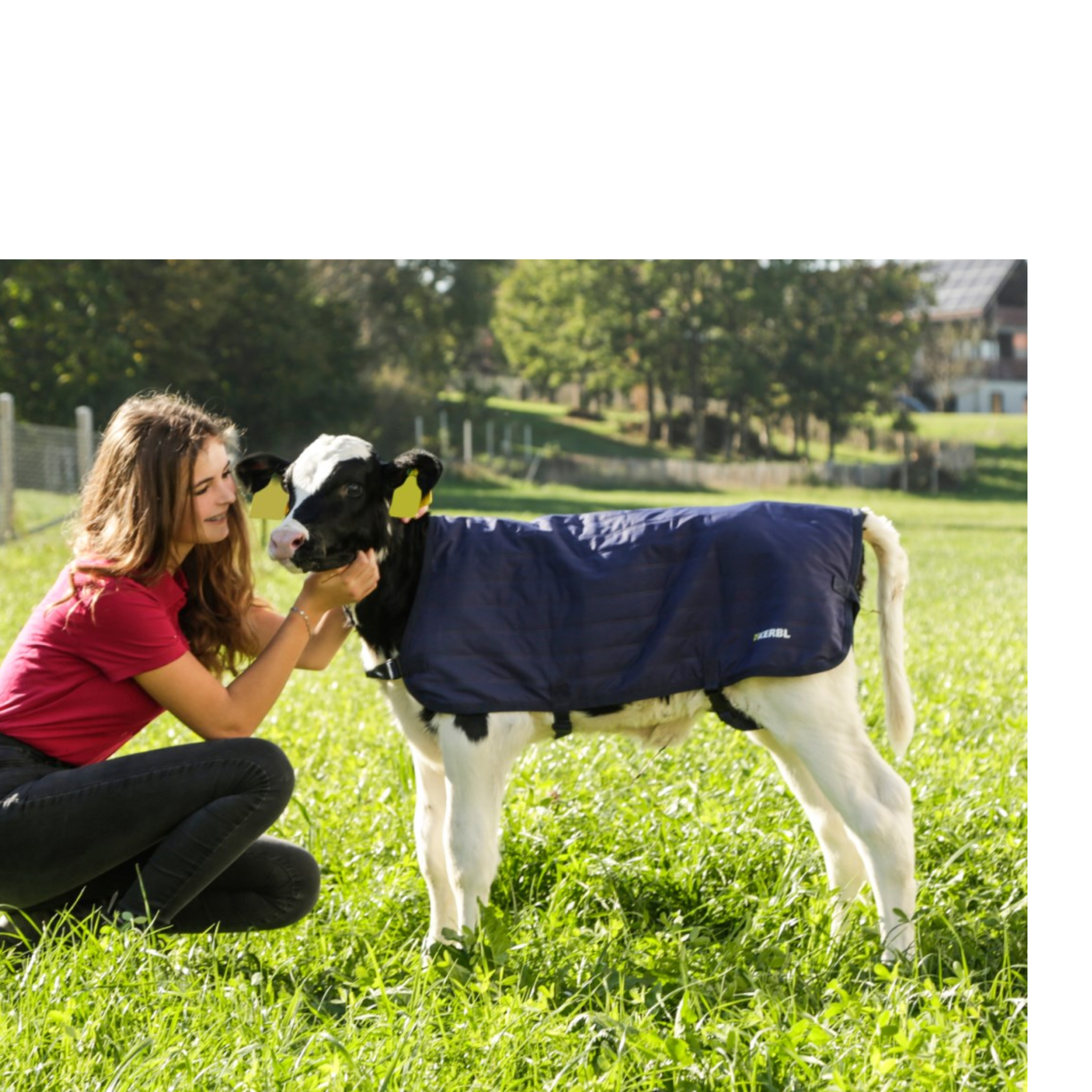 Manta para terneros EasyWear