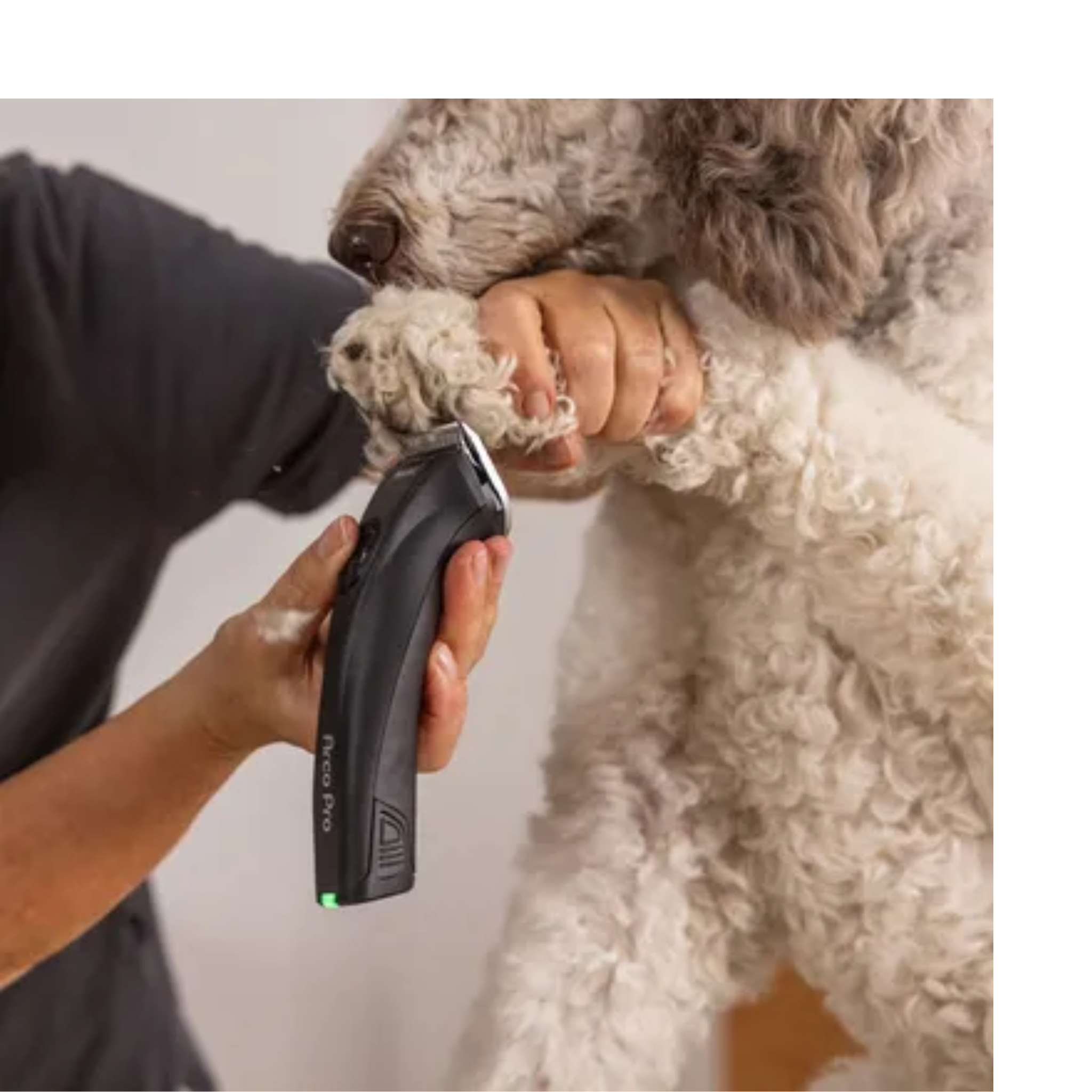 Máquina Wahl Arco Pro