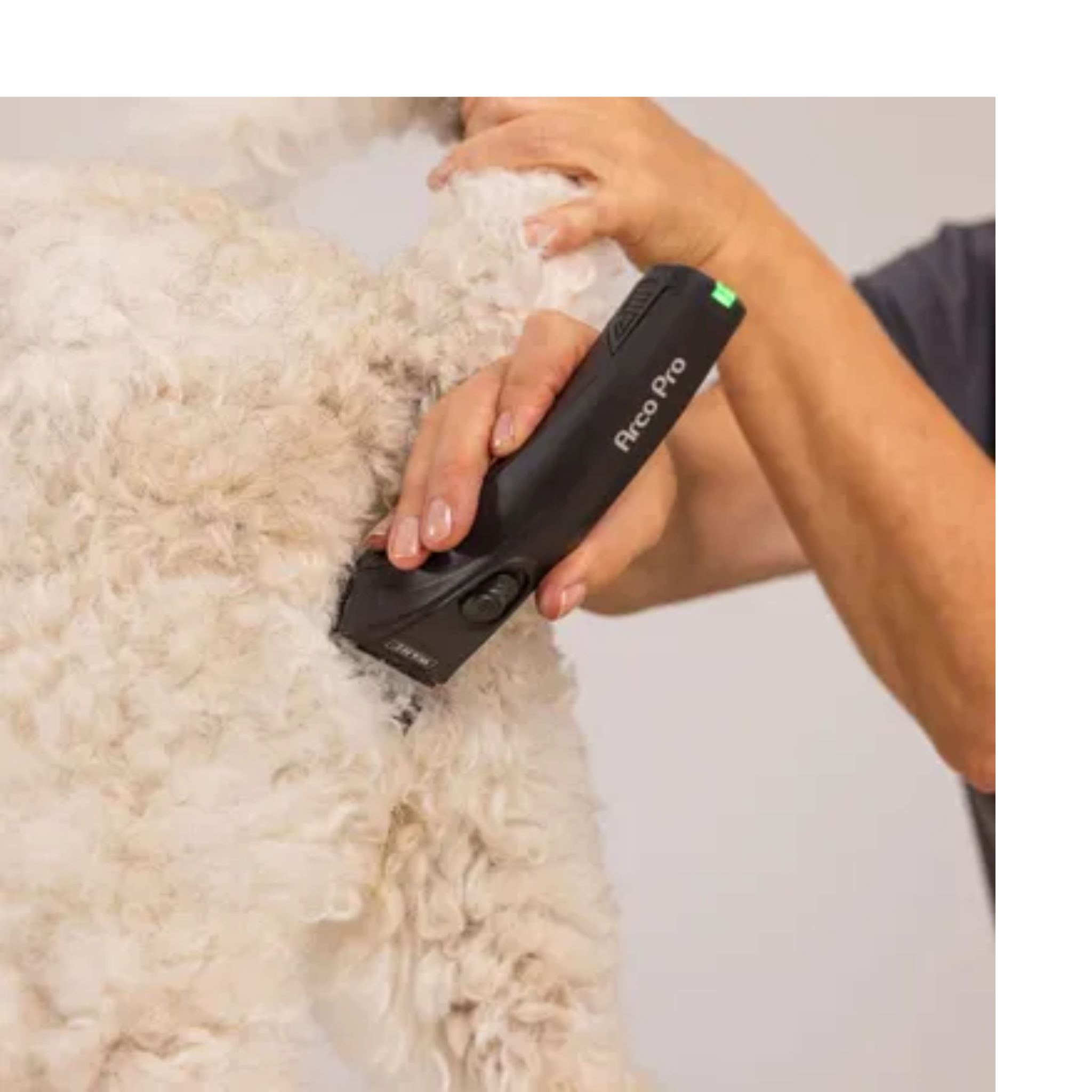 Máquina Wahl Arco Pro