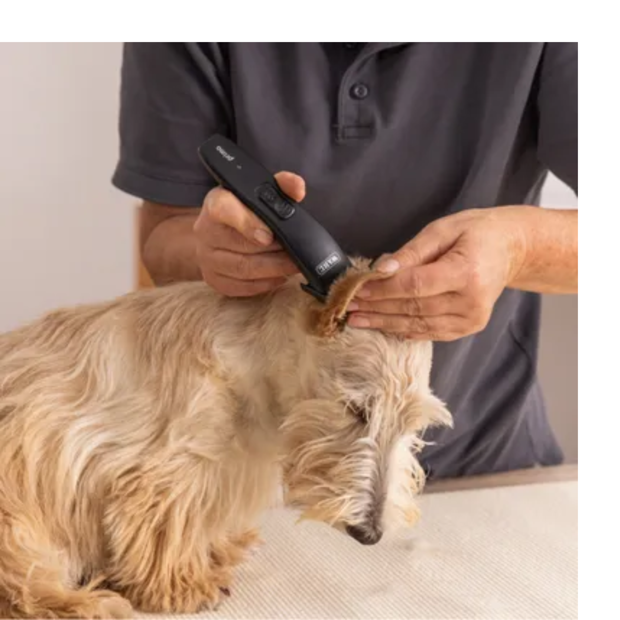 Máquina Wahl Max Go