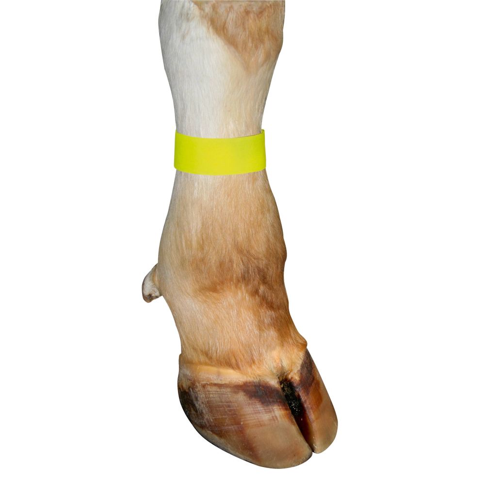 Marca de velcro para pata