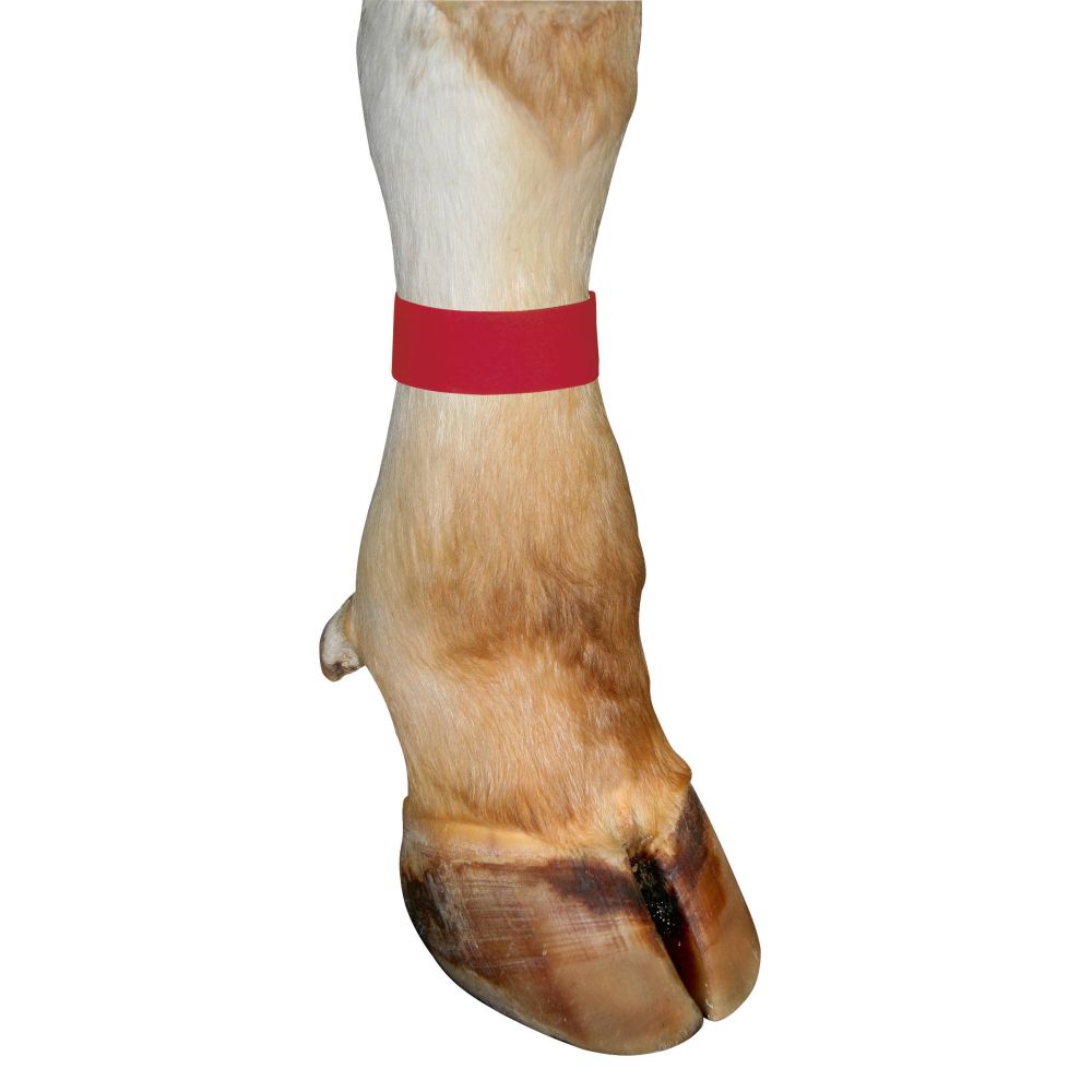 Marca de velcro para pata
