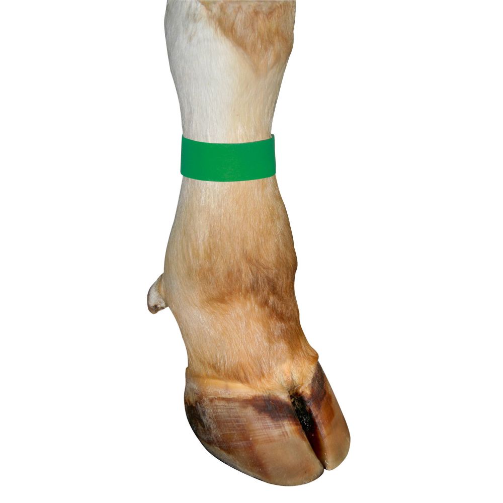 Marca de velcro para pata