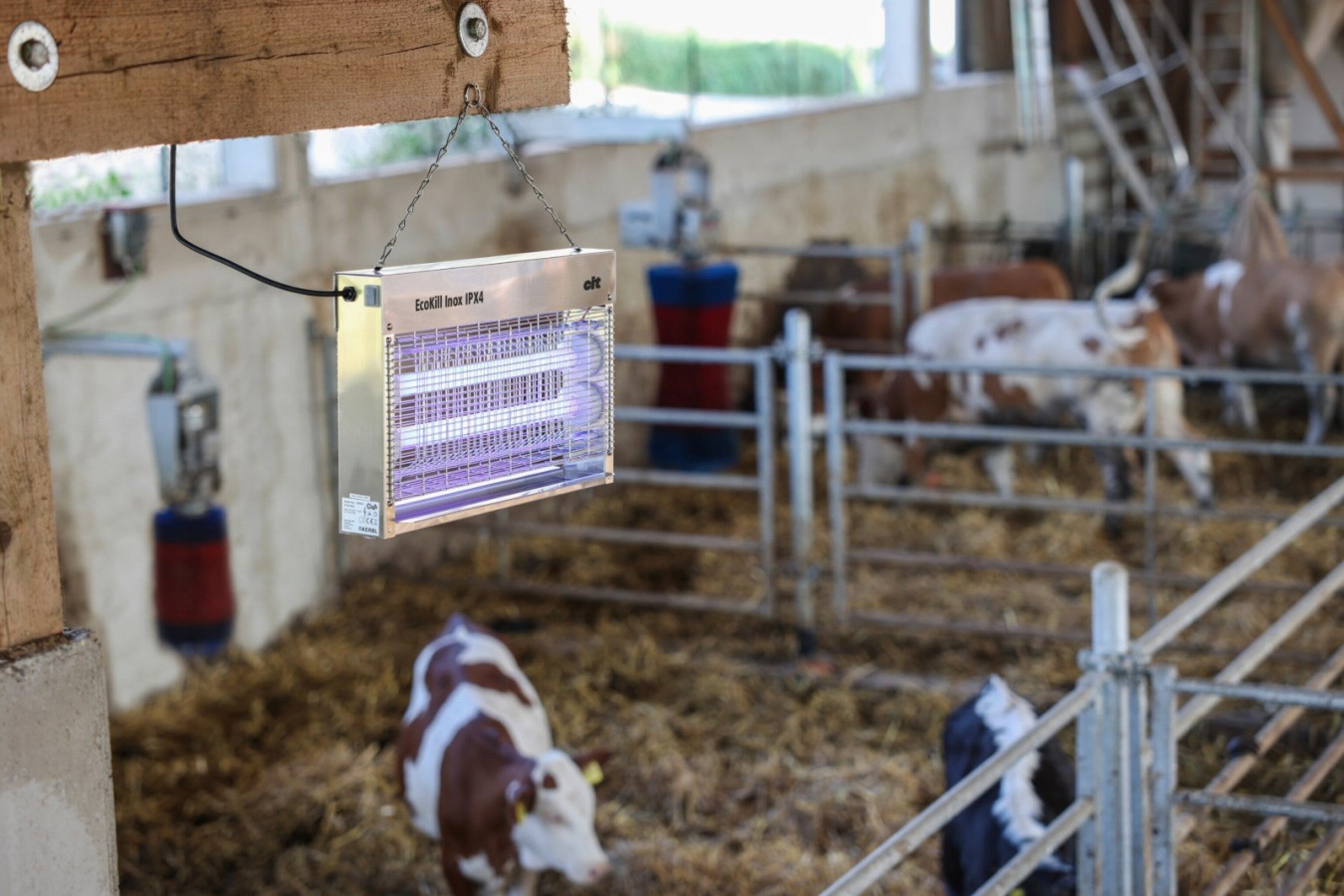 Matamoscas Eléctrico Inox 2030