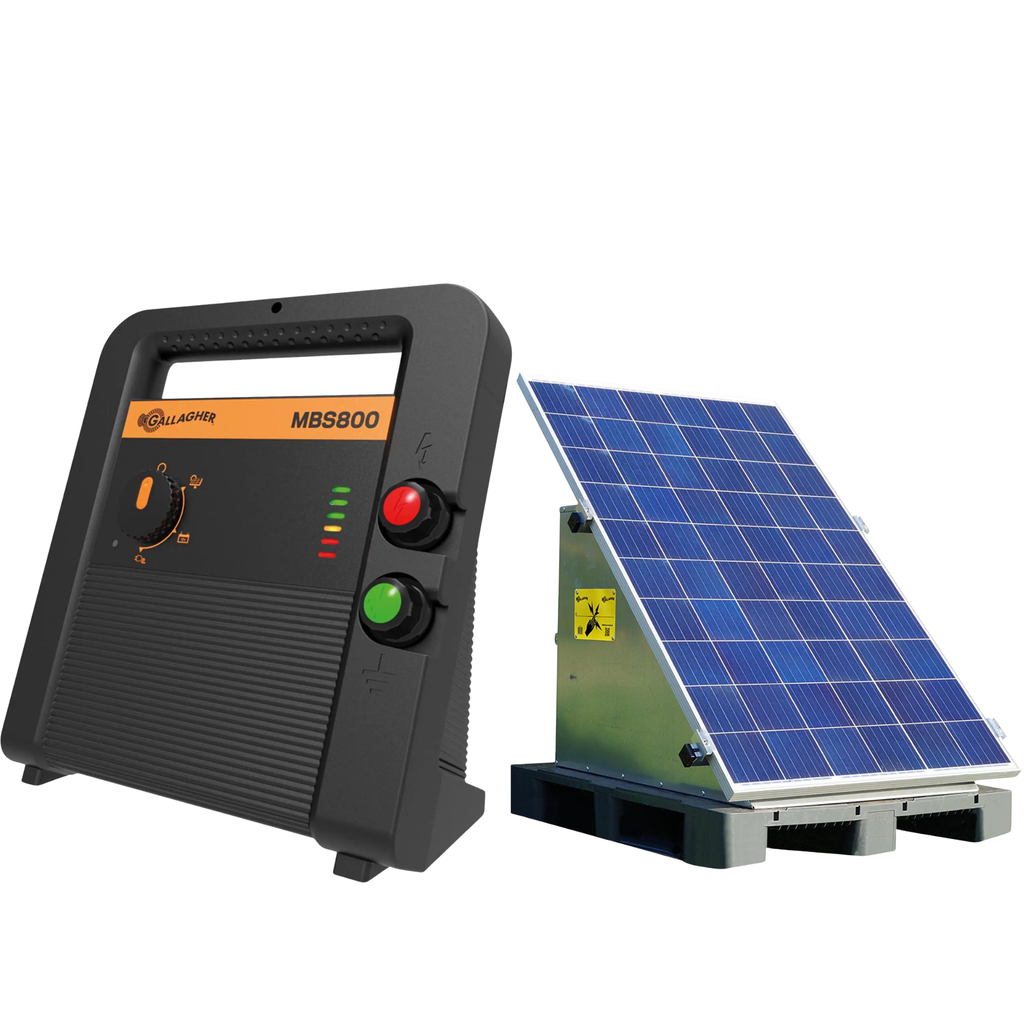 Pastor MBS800 solar