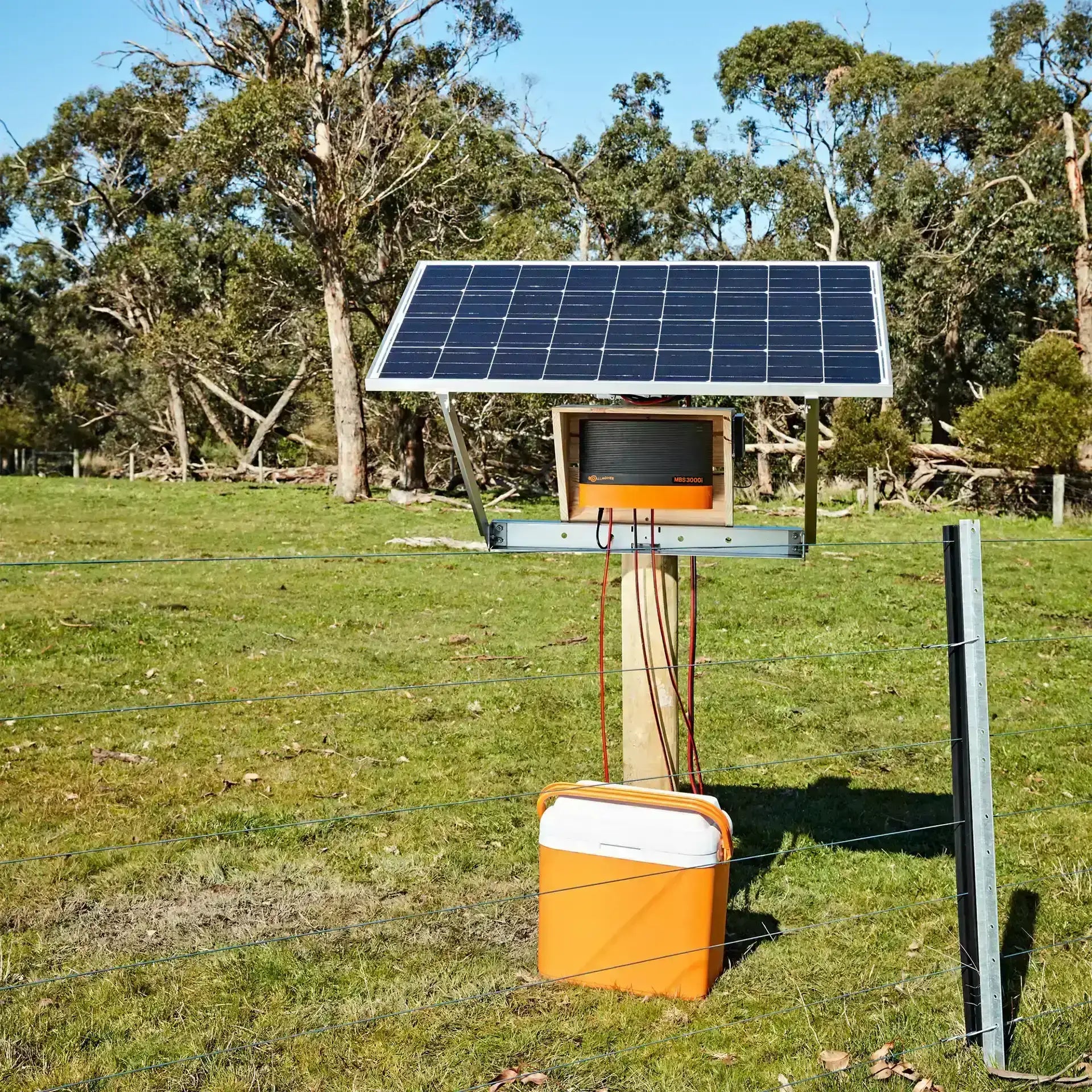 Pastor MBS3000i con modulo wifi