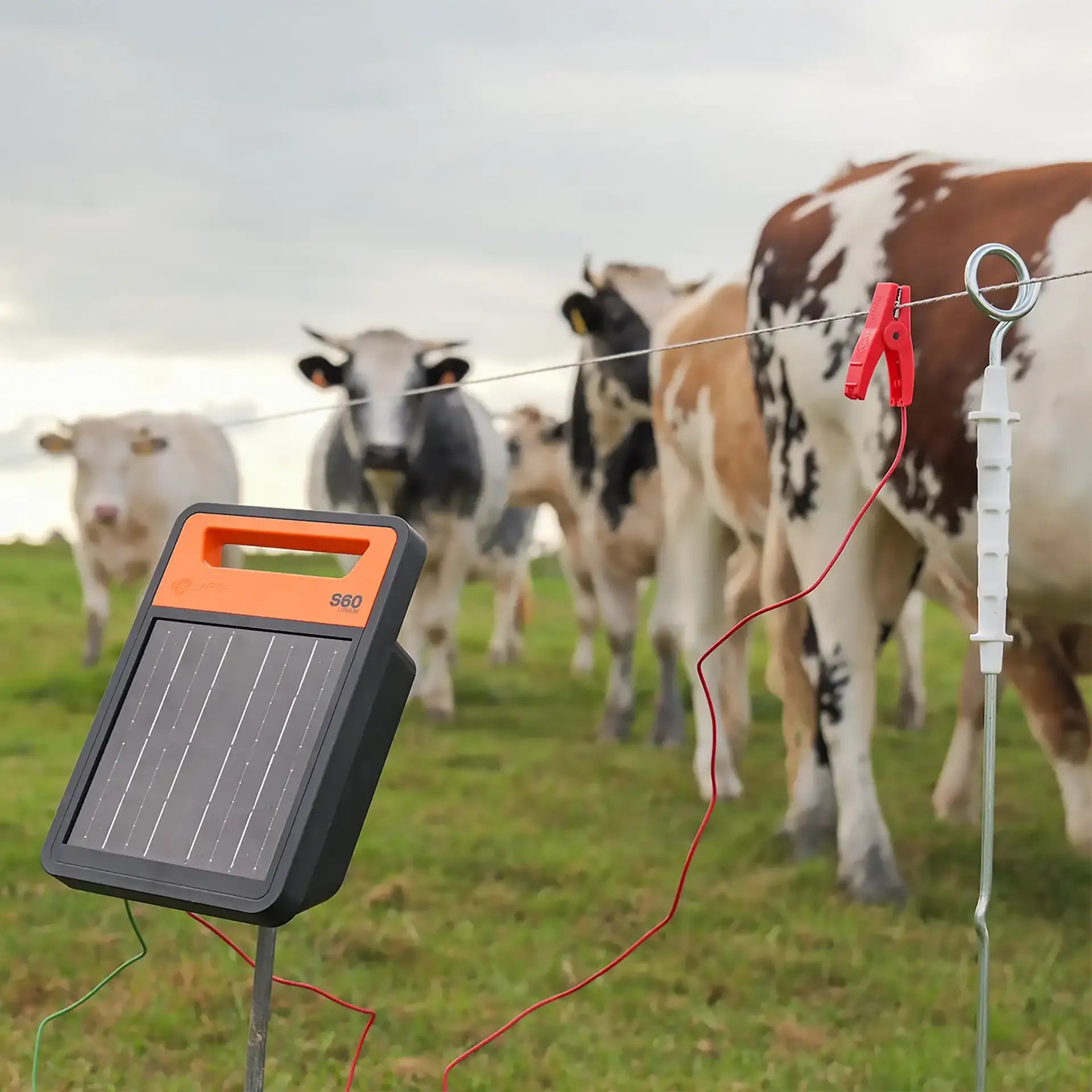 Pastor S60 Solar Batería de Litio