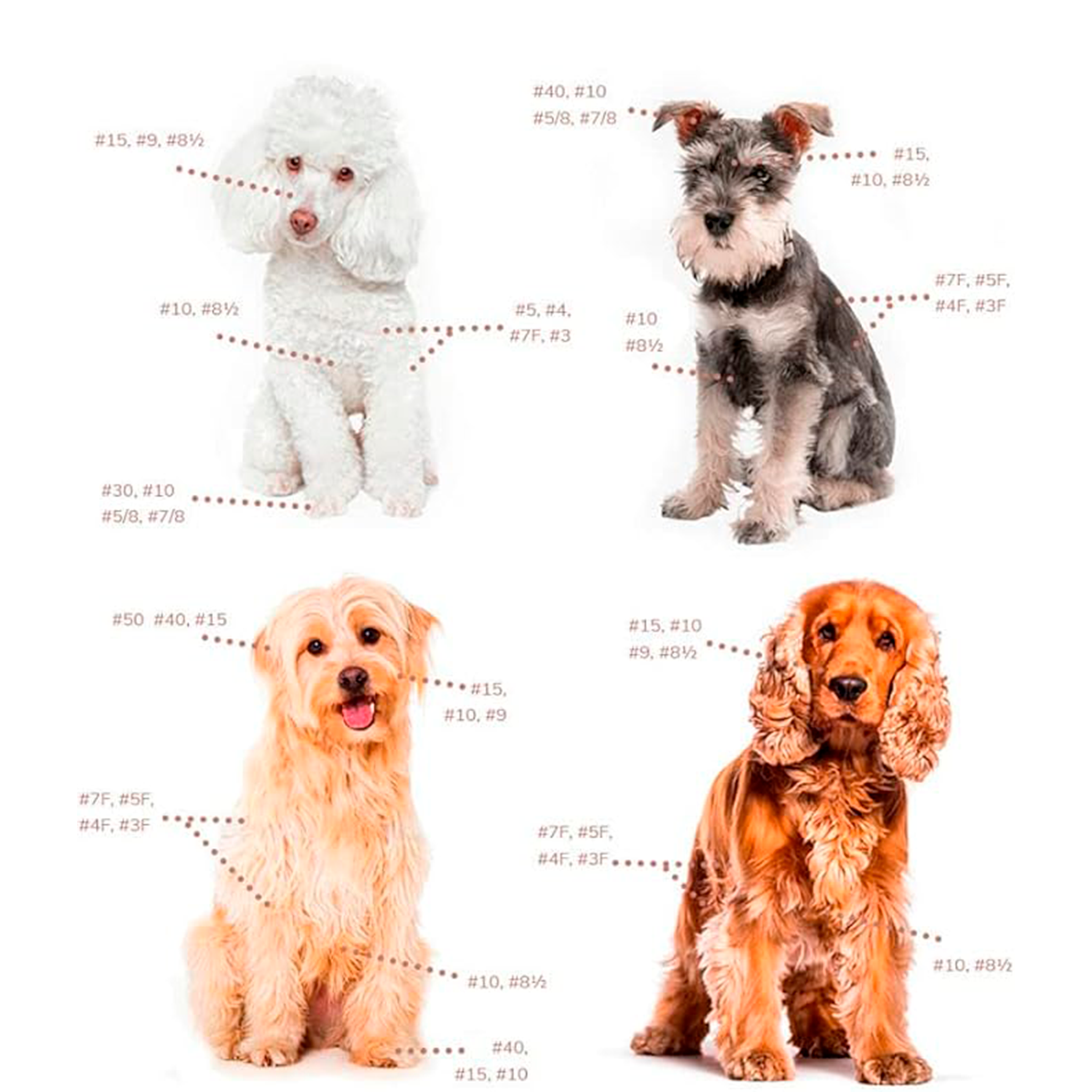 Cabezal Oster Size 4