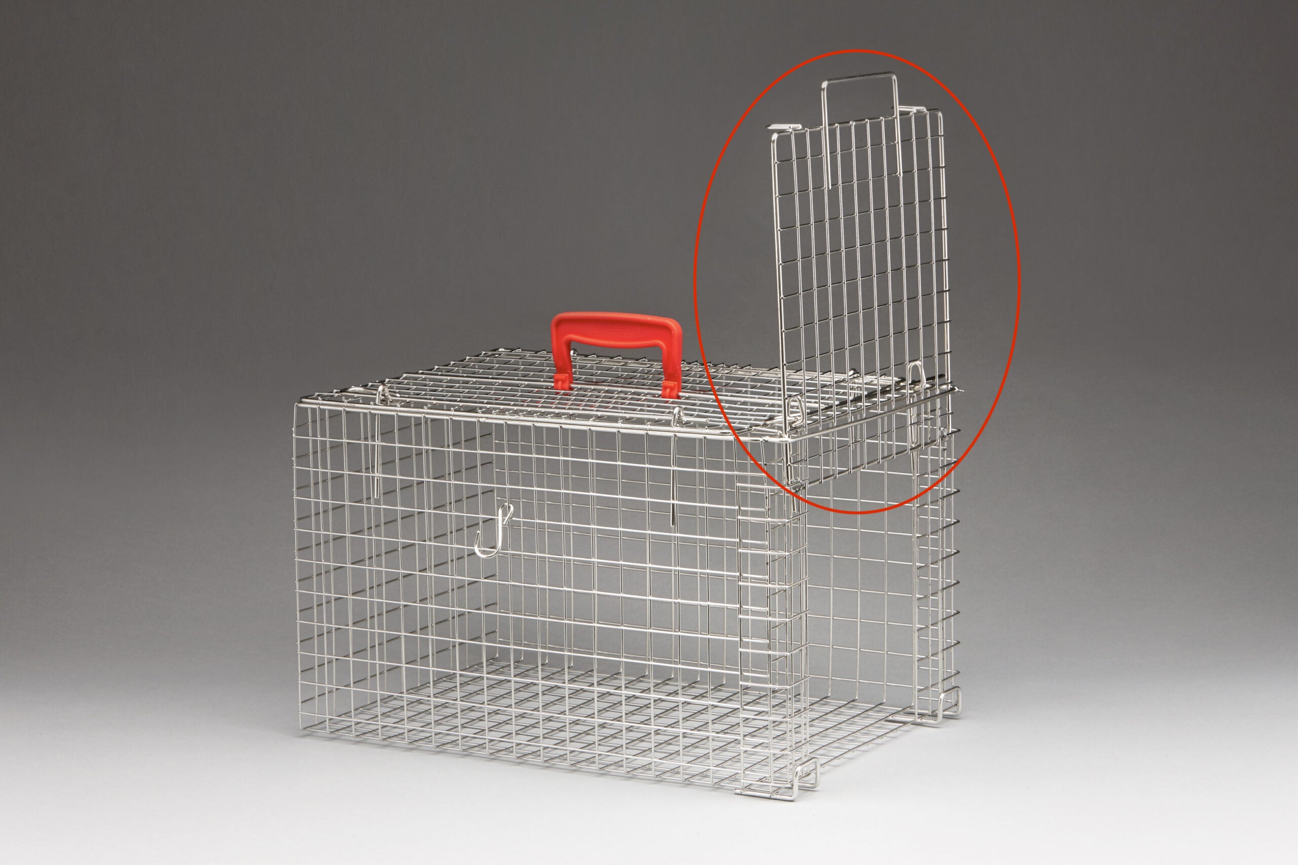 Jaula para manejo de gatos