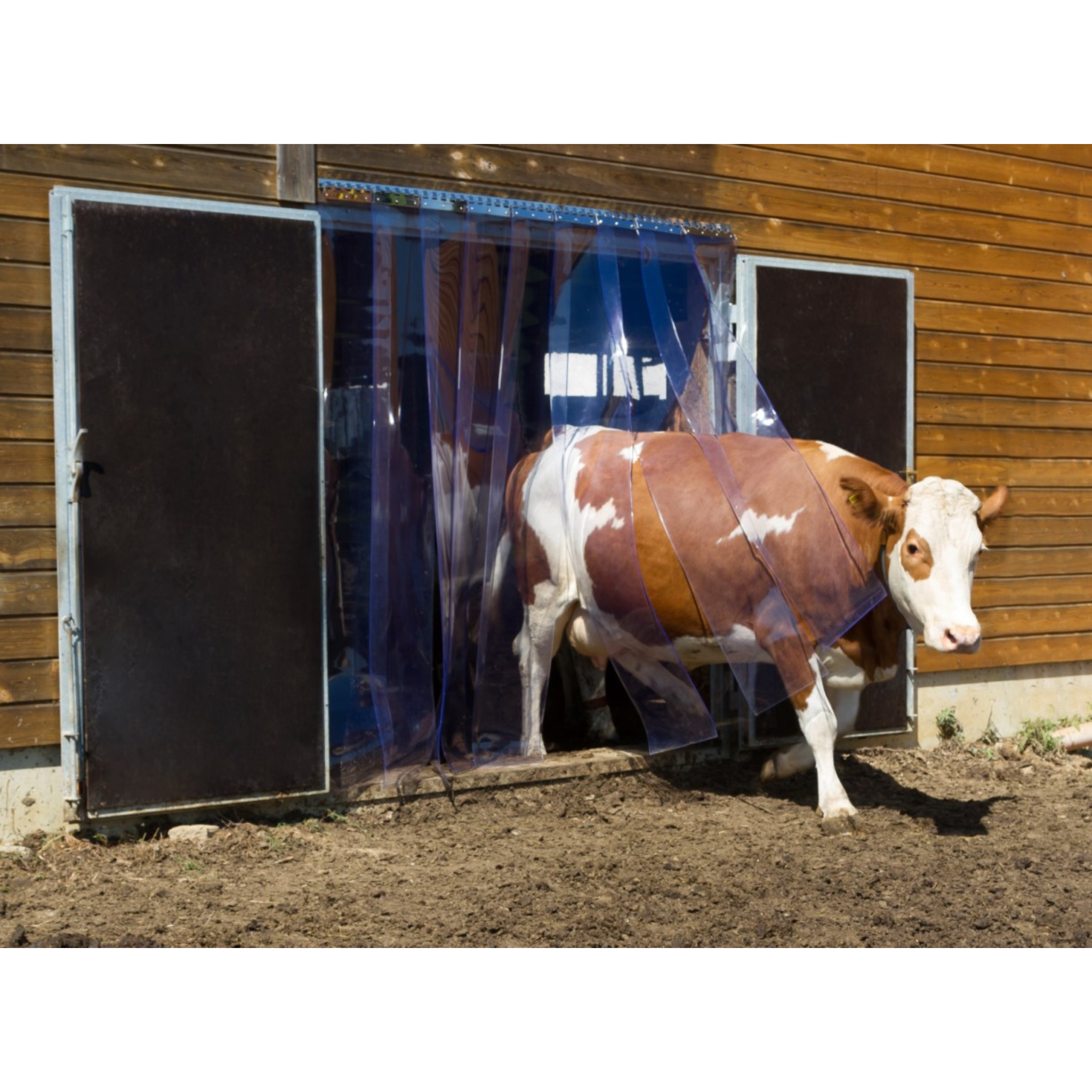 Rollo para puertas PVC