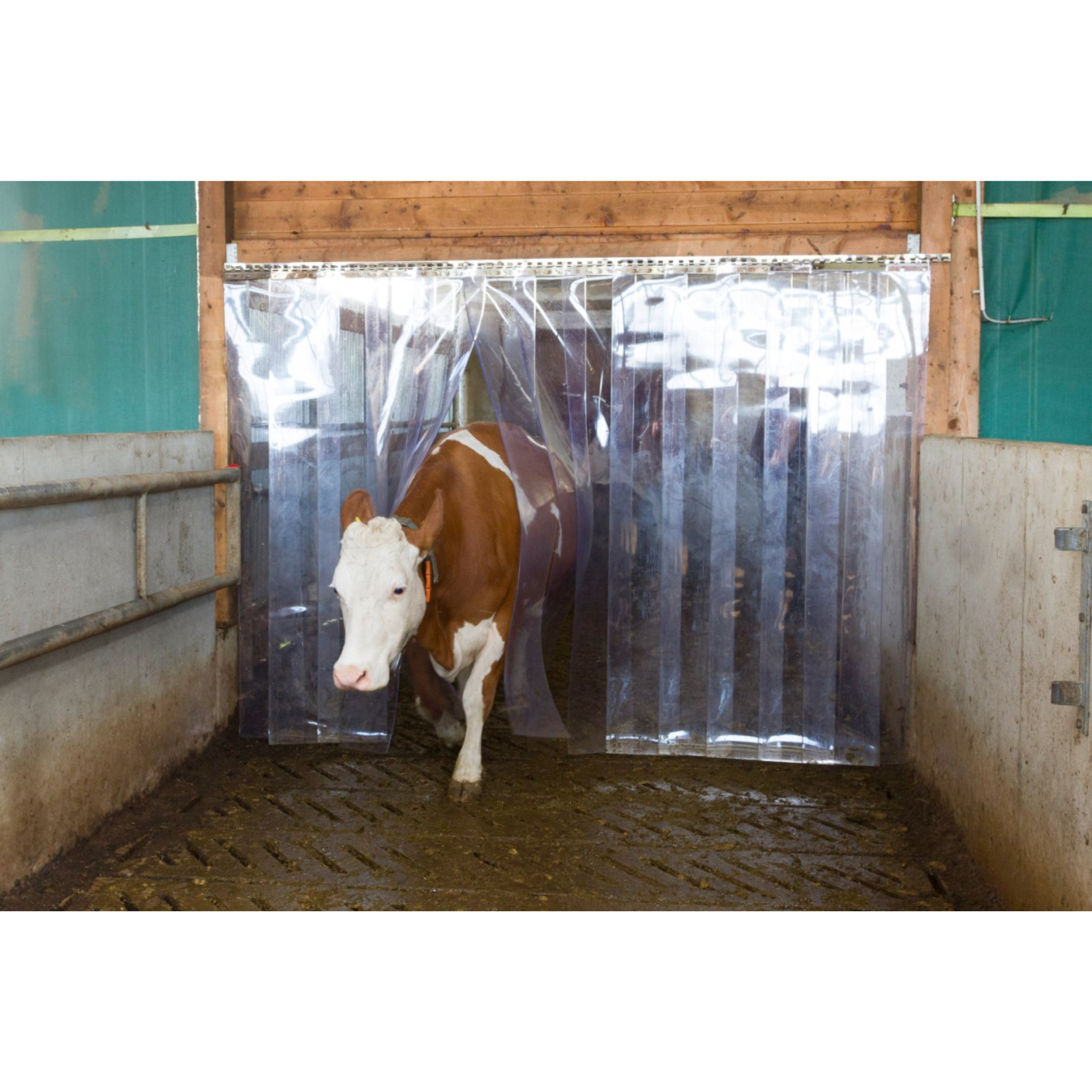 Rollo para puertas PVC