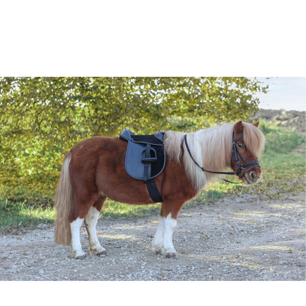 Silla de niño económica pony