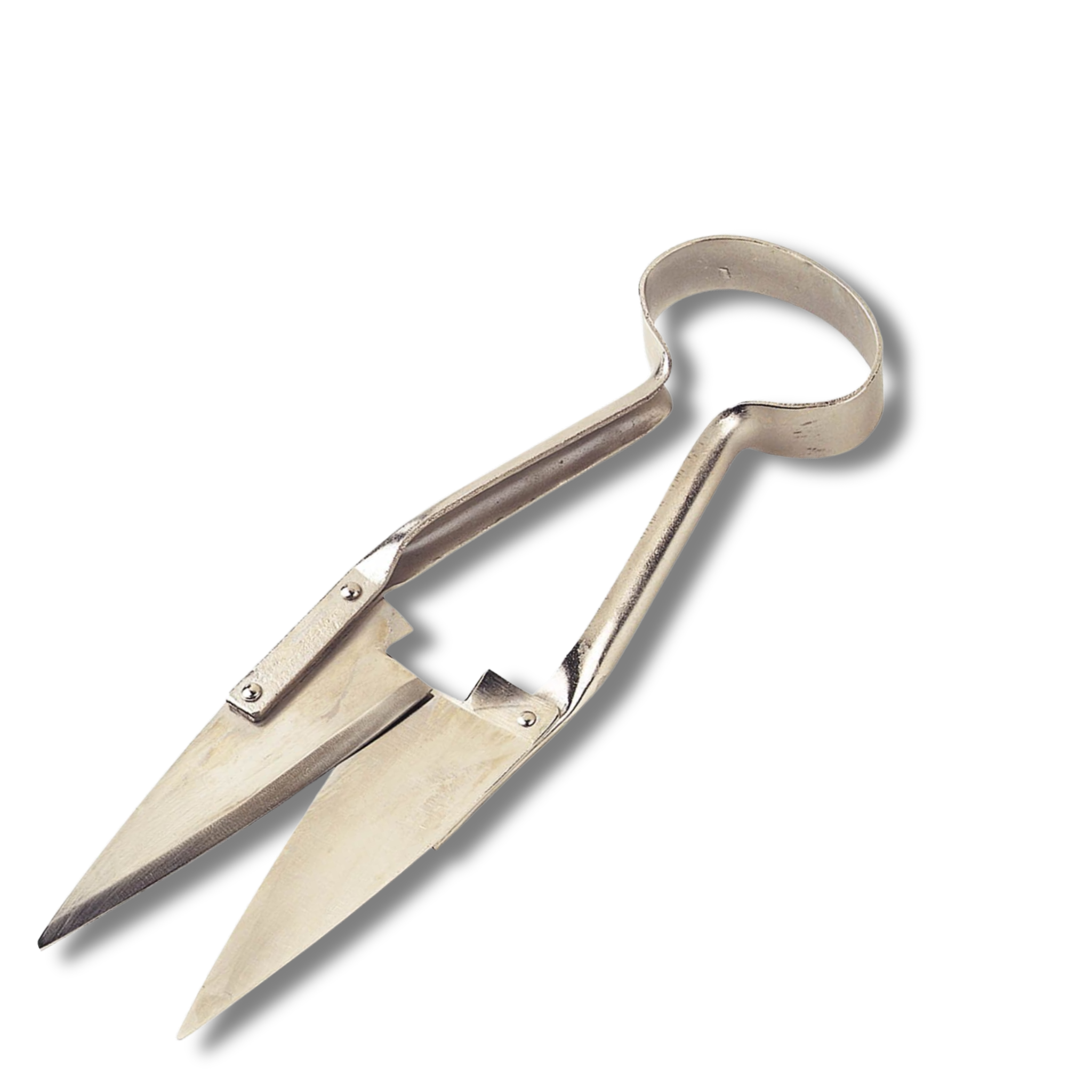 Tijera esquilar oveja recta