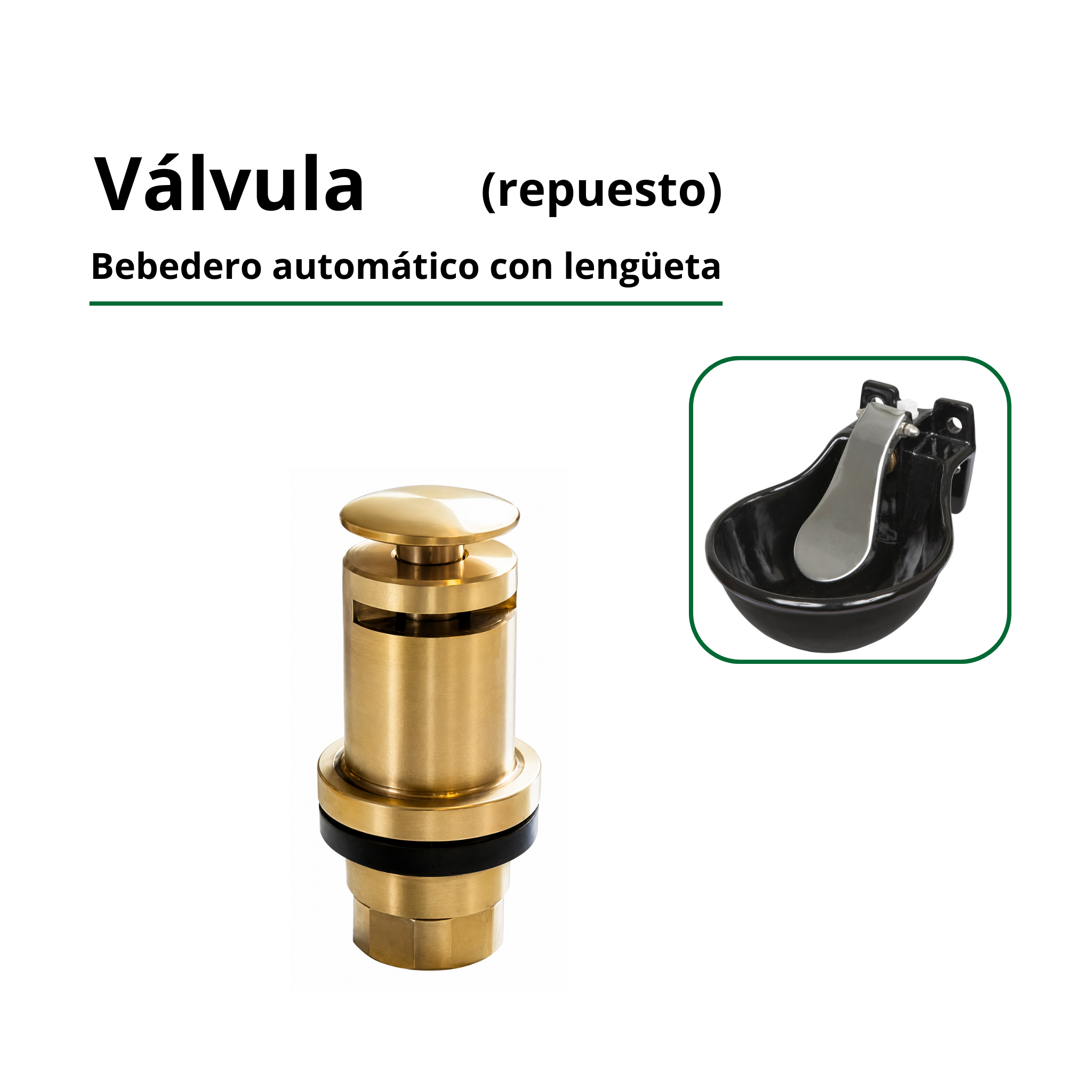 Válvula