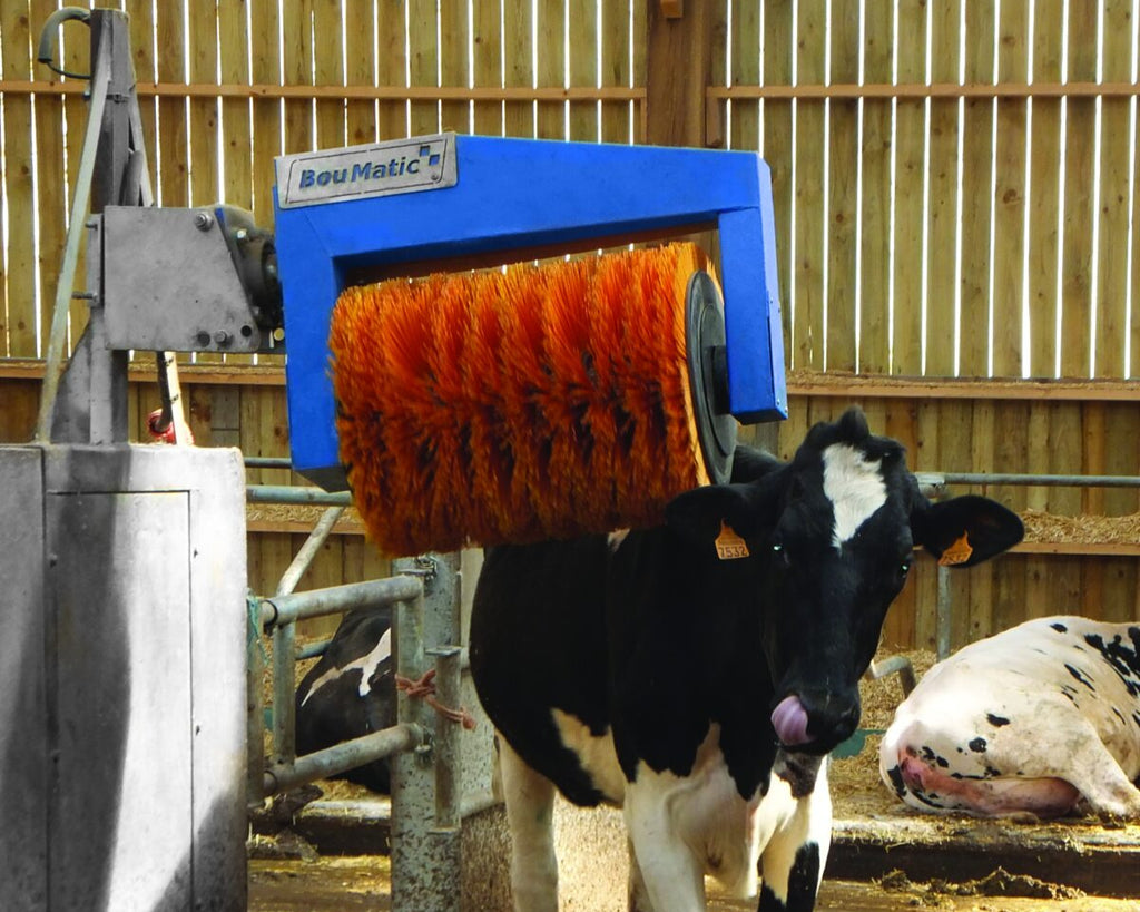 Grupanor