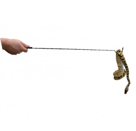 Grupanor