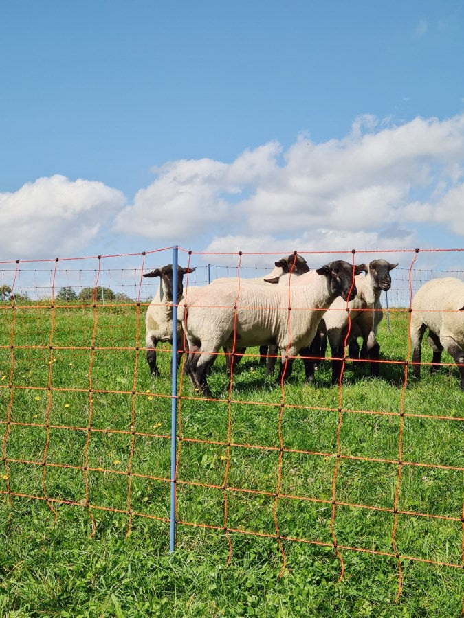 Malla electrificable para ovejas AKO OviNet