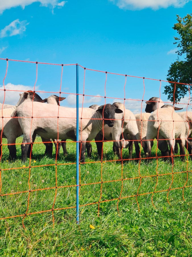 Malla electrificable para ovejas AKO OviNet