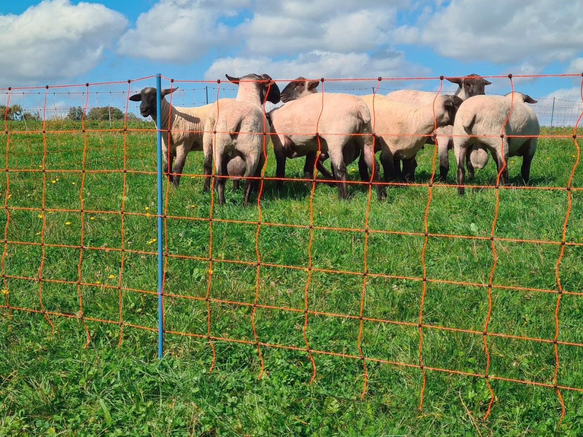 Malla electrificable para ovejas AKO OviNet