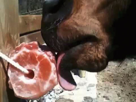 Piedra de sal del Himalaya